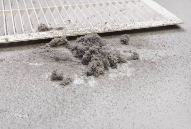 Best Air Duct Cleaning Near Me in Potomac Heights, MD