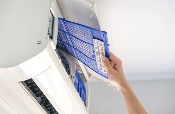 Best Air Duct Sanitizing Services  in Potomac Heights, MD